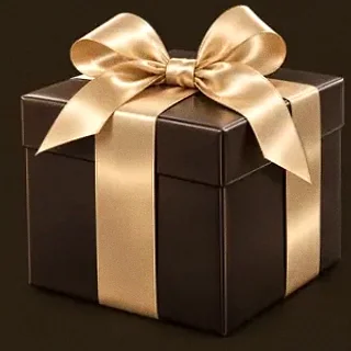 Wrapped gift box — 22King